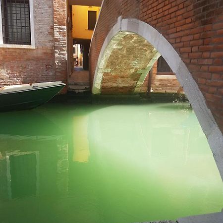 The Secret Garden In The Very Heart Of Venezia Esterno foto